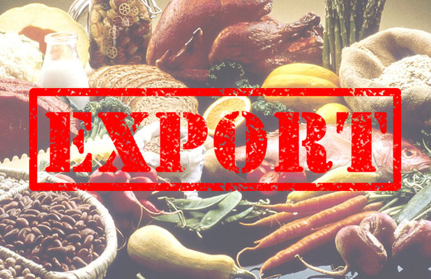 Украинский аграрный экспорт за 2 месяца 2018 г. достиг $2,8 млрд — Трофимцева
