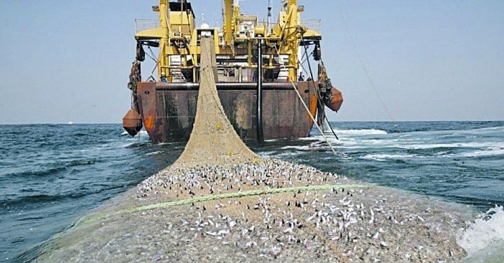 Після анексії Криму Україна в 2,5 рази скоротила вилов риби та морепродуктів