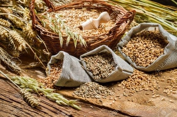 Украинский экспорт органических зерновых и масличных в 2017 г. составил €42 млн