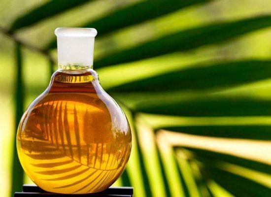 ЄБА виступає проти заборони пальмової олії у виробництві харчових продуктів