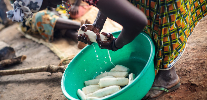 В Африке «растительная Эбола» грозит продовольственным кризисом