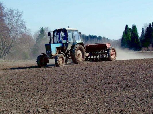 Аграрії Миколаївщини у березні орендували у держави 350 га землі