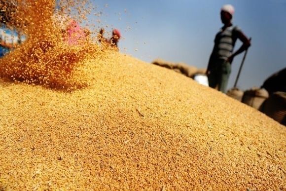 Индонезия закупила 30 тыс. тонн причерноморской пшеницы