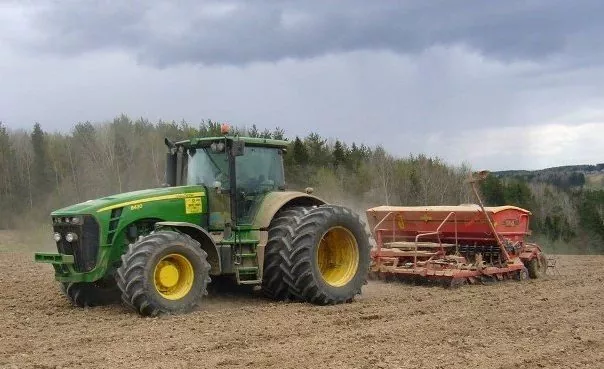 На Буковині ярими зерновими засіяно 49 тис. га