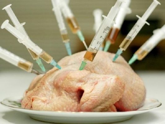 Нидерландские птицеводы за 7 лет уменьшили использование антибиотиков на 72%