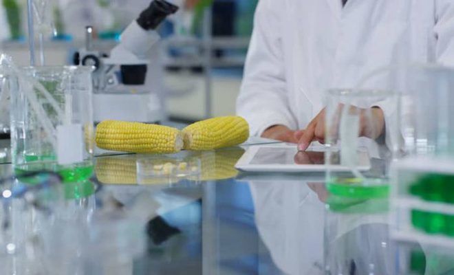 LNZ Group будує агрохімічну лабораторію на Лебединському насіннєвому заводі