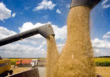 Экспортный потенциал зернового рынка Украины в 2018/19 МГ оценивается в 42,6 млн. тонн