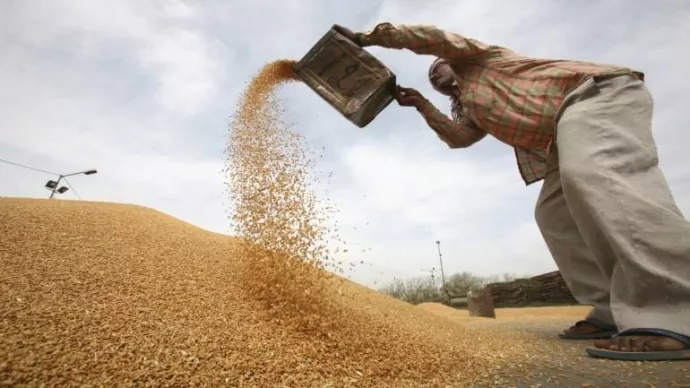 Индонезия закупила причерноморскую пшеницу