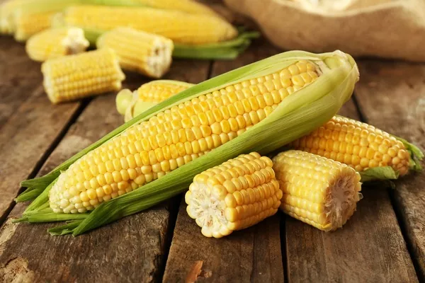 У США прогнозують зростання експорту кукурудзи з України
