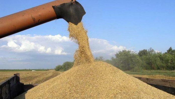 Експорт зернових становить більше 35 млн тонн