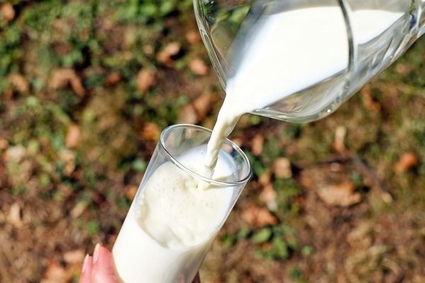В Україні 38,2% молока забезпечують промислові господарства