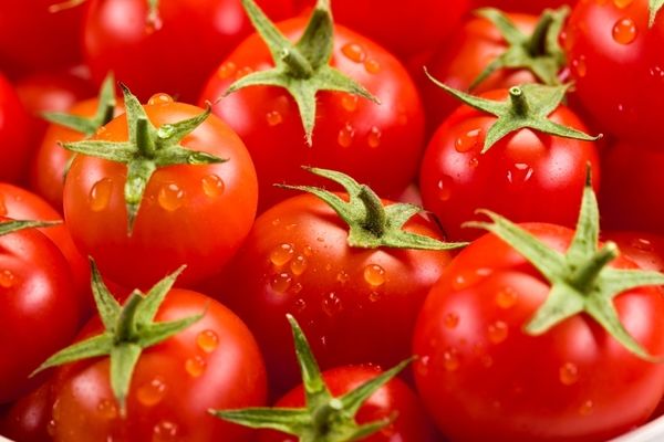 Експорт українських томатів за два роки зріс удвічі