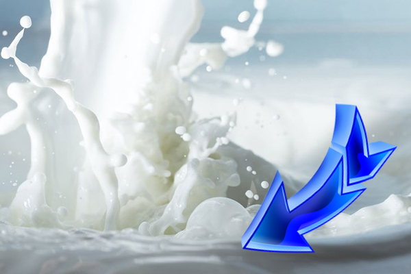 Экспорт молочных продуктов из Украины сократился на 11%