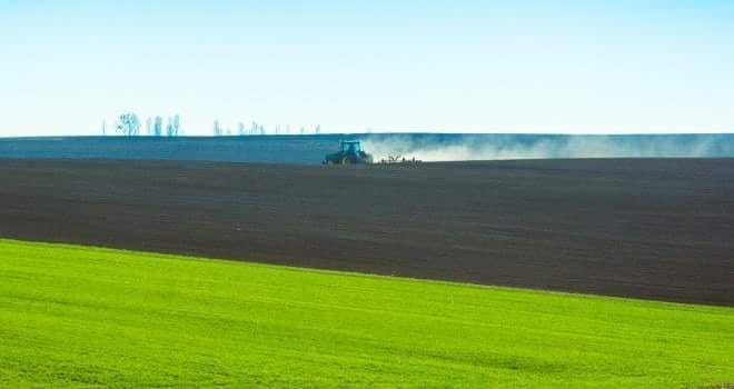 На Київщині засіяно ранніми зерновими 272 тис. га
