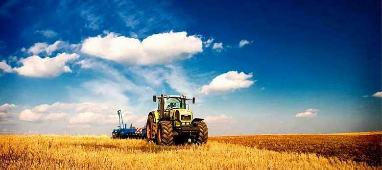 Украина: Сельхозпроизводство в этом году выросло на 3%