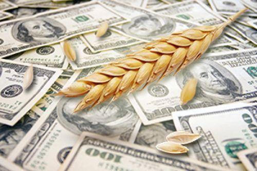 УЗА предлагает отменить НДС для борьбы с теневым рынком зерна