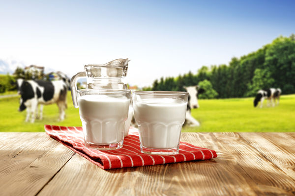Українців на 80% годують молочним фальсифікатом – фермер