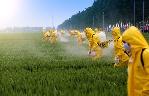 В Швейцарии хотят полностью запретить пестициды