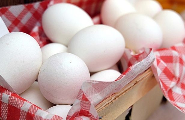 Производители яиц в Латвии боятся конкуренции с Украиной