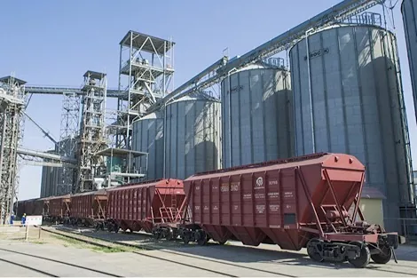 УЗ спрогнозировала объёмы перевозок зерна в новом маркетинговом сезоне