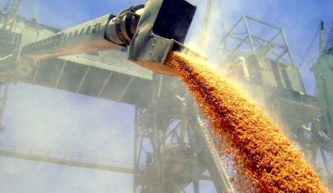 Морпорты Украины снизили экспорт зерновых на 23%
