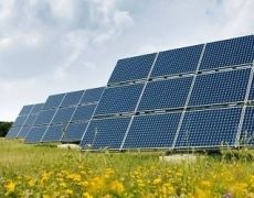 На Кіровоградщині агропідприємтво відкрило сонячну електростанцію