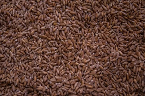 Украинская пшеница на прошлой неделе подорожала на 100-160 грн/т
