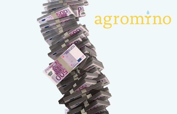 Agromino в январе-марте получила 11 млн евро чистого убытка