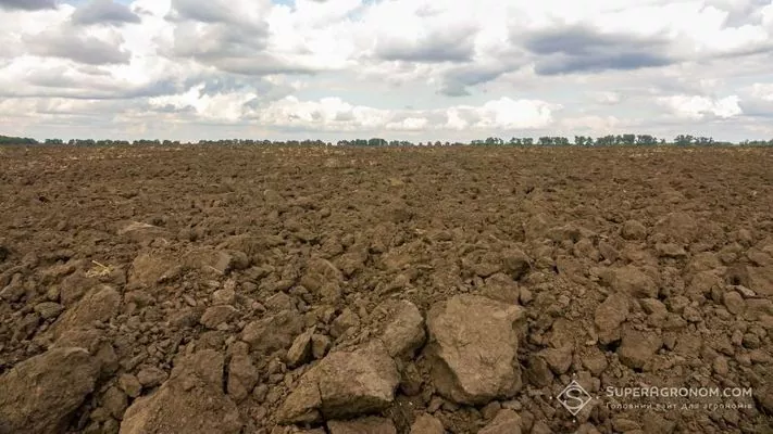 За розореністю земель Україна перша в світі