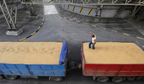 Российские морпорты увеличили экспорт зерновых