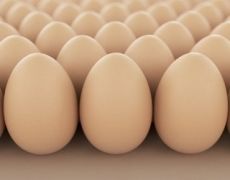 За п’ять місяців Україна заробила на експорті яєць понад $34 млн