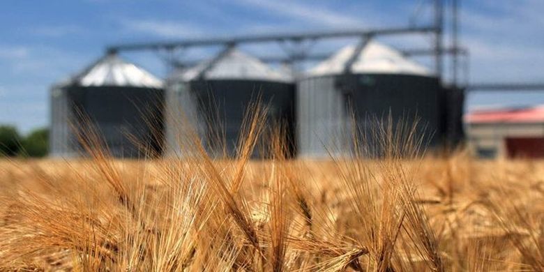 Україна експортувала 16,6 млн тонн пшениці