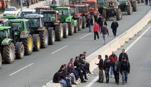 Польські фермери збираються викорчувати плантації жимолості, а що чекає Україну?