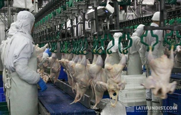 МХП обходит квоты ЕС на импорт курятины — европейские СМИ