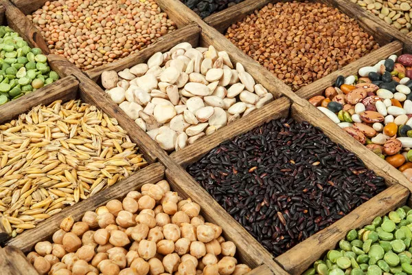 Експорт переробленої агропродукції в минулому році оцінюється майже в $10 млрд