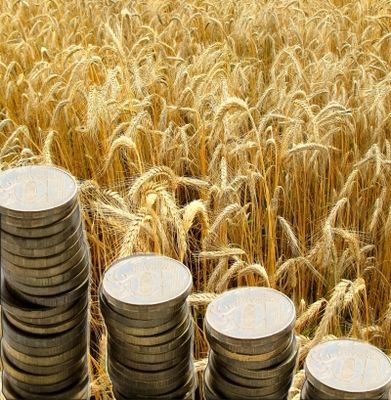 Нулевая экспортная пошлина на пшеницу продлевается еще на год, решение фактически принято - Гордеев