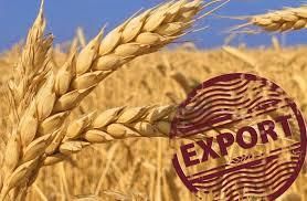 Украина с начала 2018/19 МГ экспортировала 30 тыс. т зерновых