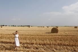 В Киевской области собрано более 5 тыс. тонн зерна