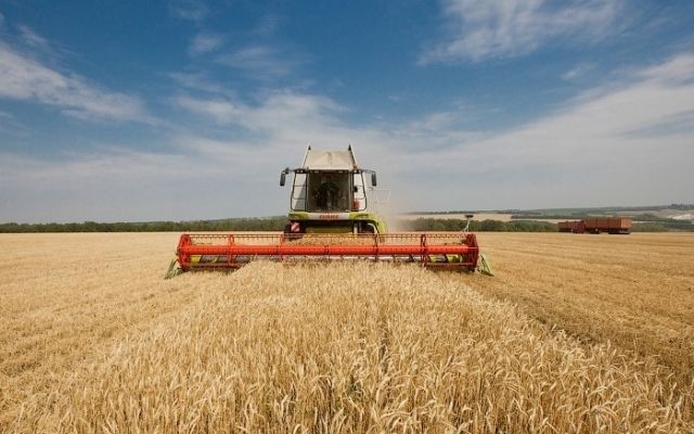 Аграриям Николаевской области осталось обмолотить чуть более 20% площадей зерновых