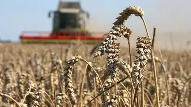 Аграриями Хмельницкой области собрано более 100 тыс. тонн зерна нового урожая