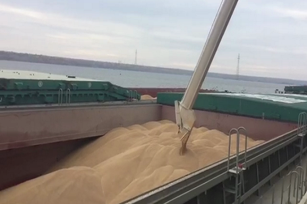 Экспорт зерновых из морпортов увеличился до 705 тыс. т