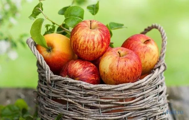 Цього року Україна встановила абсолютний рекорд запасів яблук
