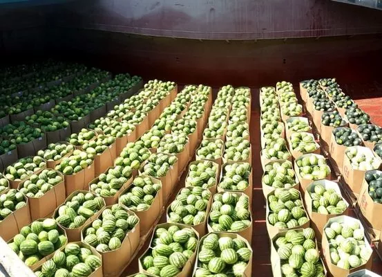 «НІБУЛОН» на початку серпня планує відправити Дніпром 500 тонн херсонських кавунів