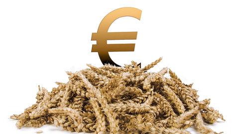 Пшеница ЕС: Париж обновил годовой максимум