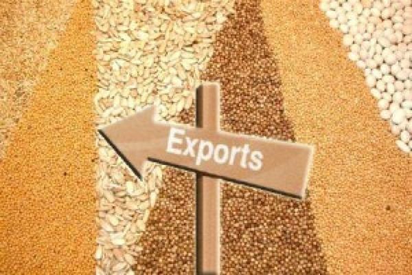 Більше 40% пшениці з України експортують 10 компаній