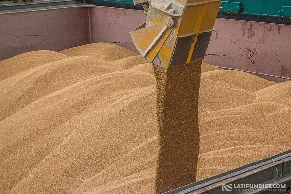 Мировое производство зерновых в 2016/17 МГ увеличится на 15 млн т — FAO