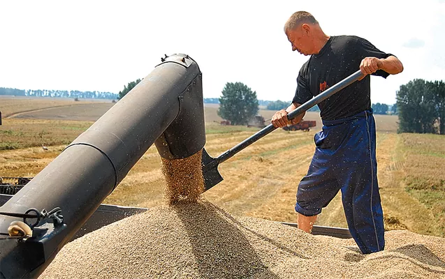 Польові втрати: чому аграрії отримують менше продукції, ніж вирощують