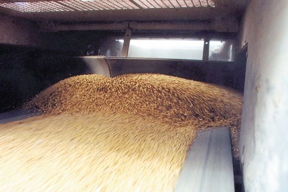 Южнокорейские переработчики начали отказываться от слишком дорогой пшеницы