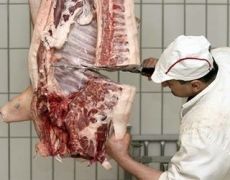 На продовольчих ринках України здійснять унікальне дослідження свинини на предмет АЧС