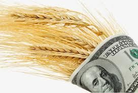 Украина сможет экспортировать только 8 млн т продовольственной пшеницы